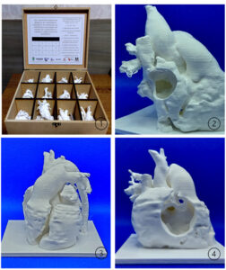 Figura 2