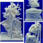 Figura 4
