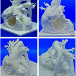 Figura 5