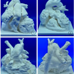 Figura 6