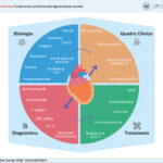 Mapa conceitual sobre etiologia, quadro clínico, diagnóstico e tratamento medicamentoso da pericardite aguda. AINEs: anti-inflamatórios não esteroidais; IL-1: interleucina-1; PET-CT: tomografia por emissão de pósitrons associada à tomografia computadorizada: RM: ressonância magnética; TC: tomografia computadorizada.