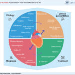 Conceptual map of the etiology, clinical presentation, diagnosis, and medical treatment of acute pericarditis. CT: computed tomography; IL-1: interleukin-1; MRI: magnetic resonance imaging; NSAIDs: non-steroidal anti-inflammatory drugs; PET-CT: positron emission tomography combined with computed tomography.