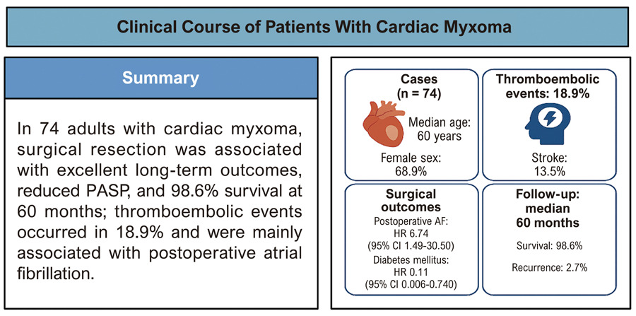 Operative Experience and Clinical Outcomes in Cardiac Myxoma Patients: A Retrospective Single-Center Study