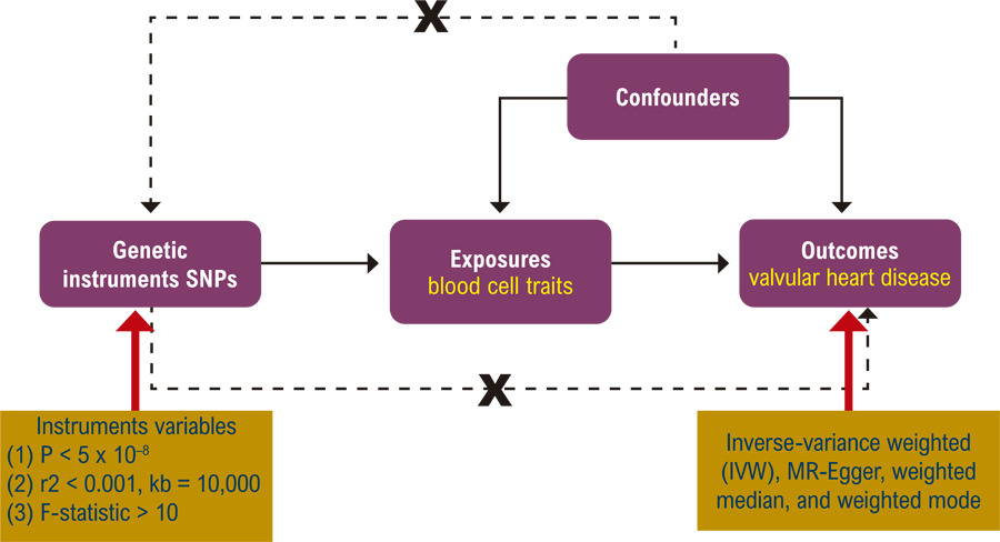The Causal Relationship between Blood Cell Traits and Valvular Heart Disease: A Two-Sample Mendelian Randomization Study