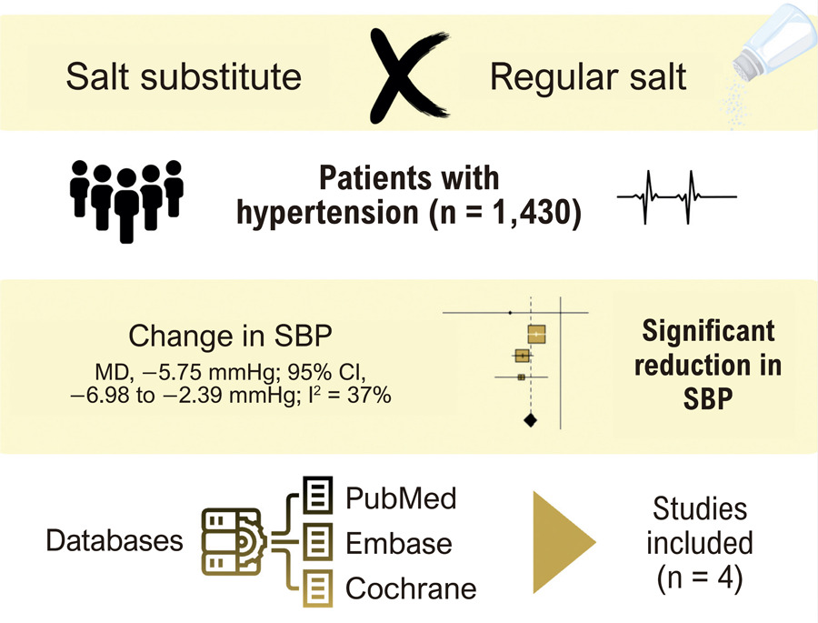 Efficacy of a Salt Substitute on the Incidence of Hypertension: A Systematic Review with Meta-Analysis