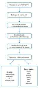 Figura 1