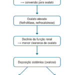 Figura 1