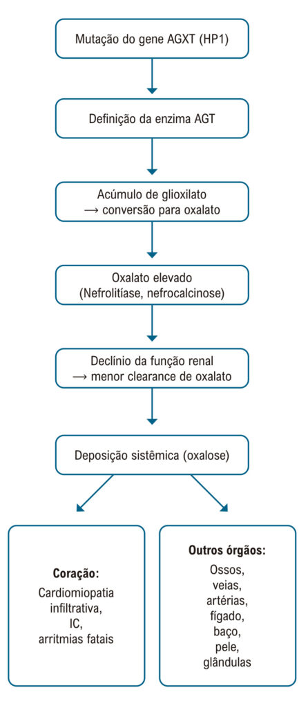 Figura 1