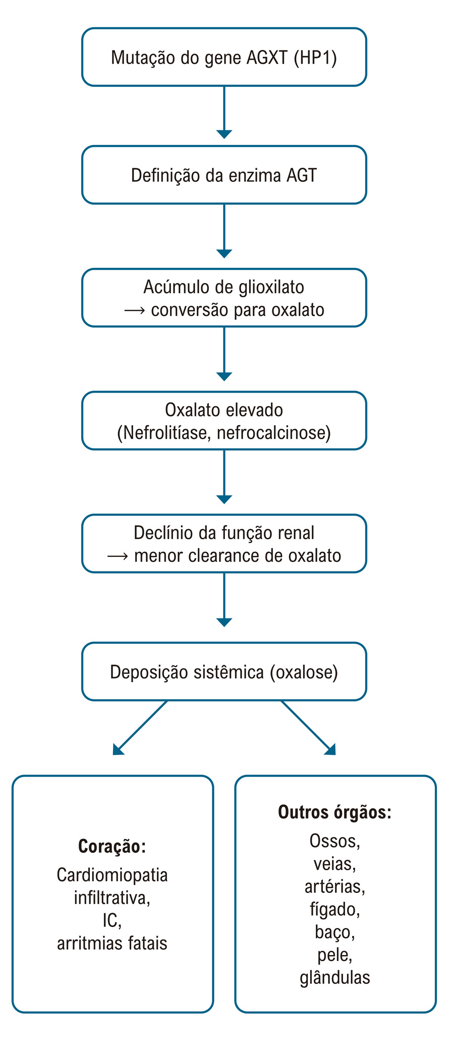 Figura 1