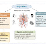 Figura 1