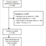 Figura 1