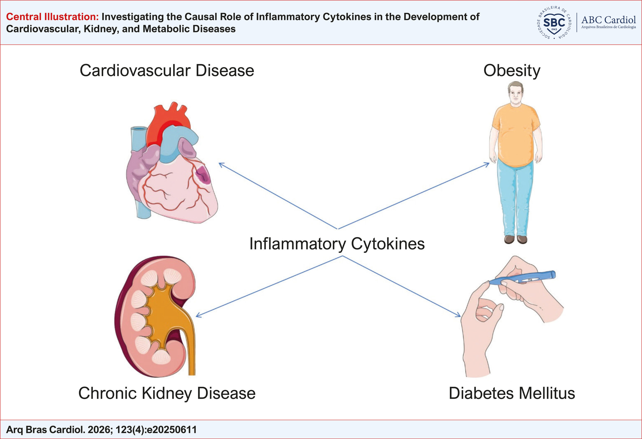 Investigating the Causal Role of Inflammatory Cytokines in the Development of Cardiovascular, Kidney, and Metabolic Diseases