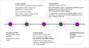 Figura 1
