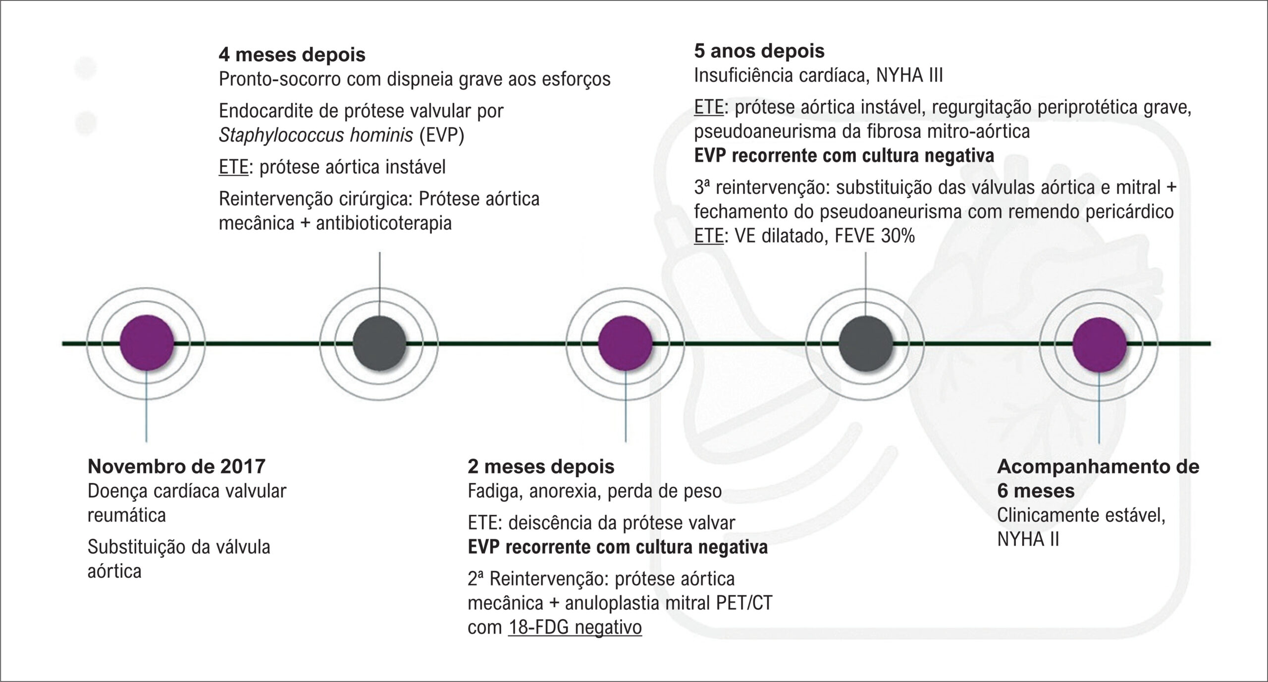 Figura 1