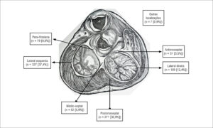 Figura 2