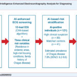 AI: artificial intelligence; CNN: convolutional neural network; ECG: electrocardiography; NPV: negative predictive value.