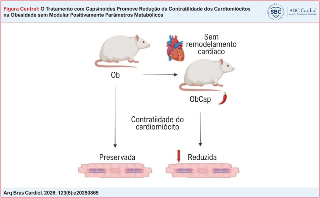 Imagem 1 da galeria