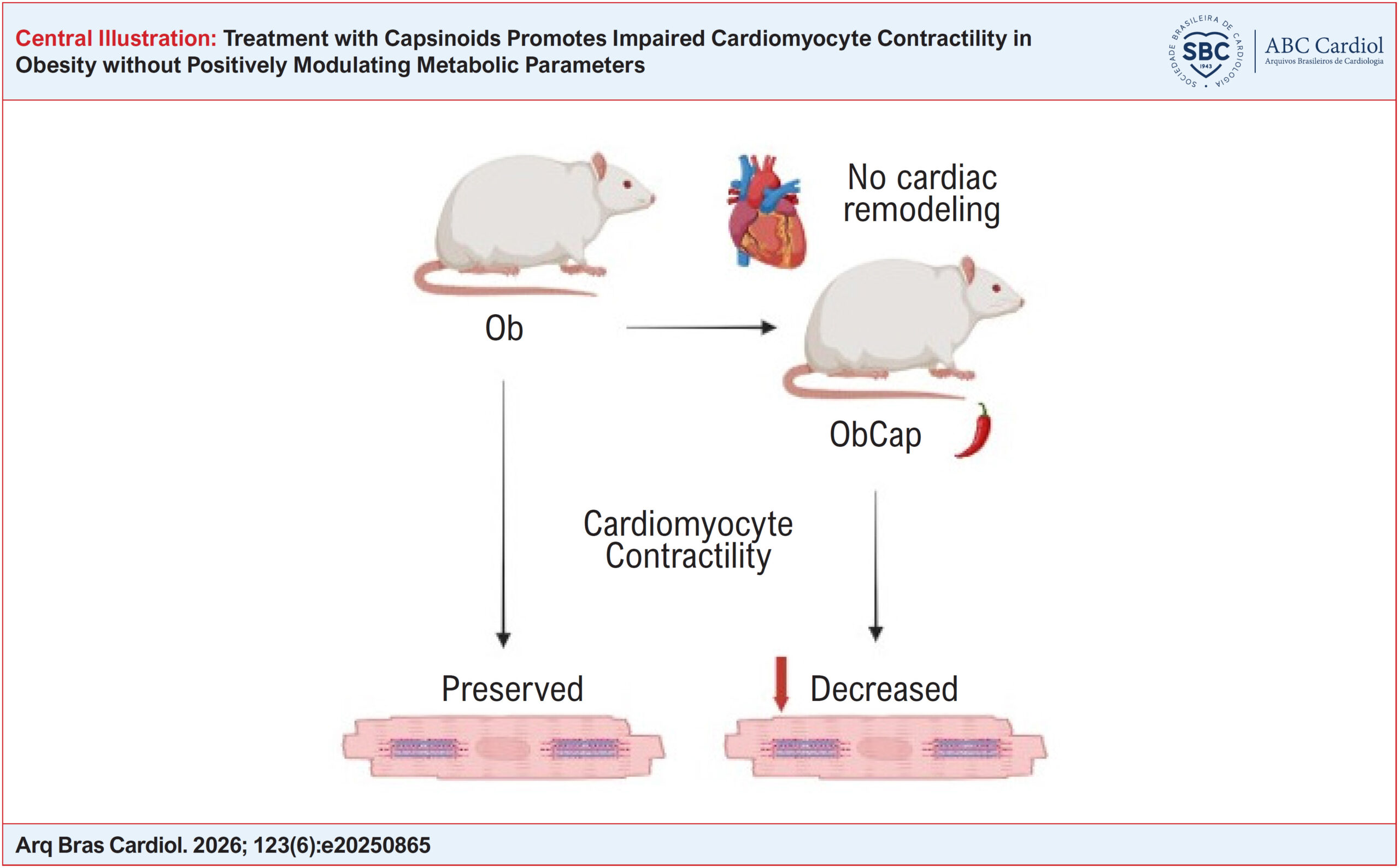Treatment with Capsinoids Promotes Impaired Cardiomyocyte Contractility in Obesity without Positively Modulating Metabolic Parameters
