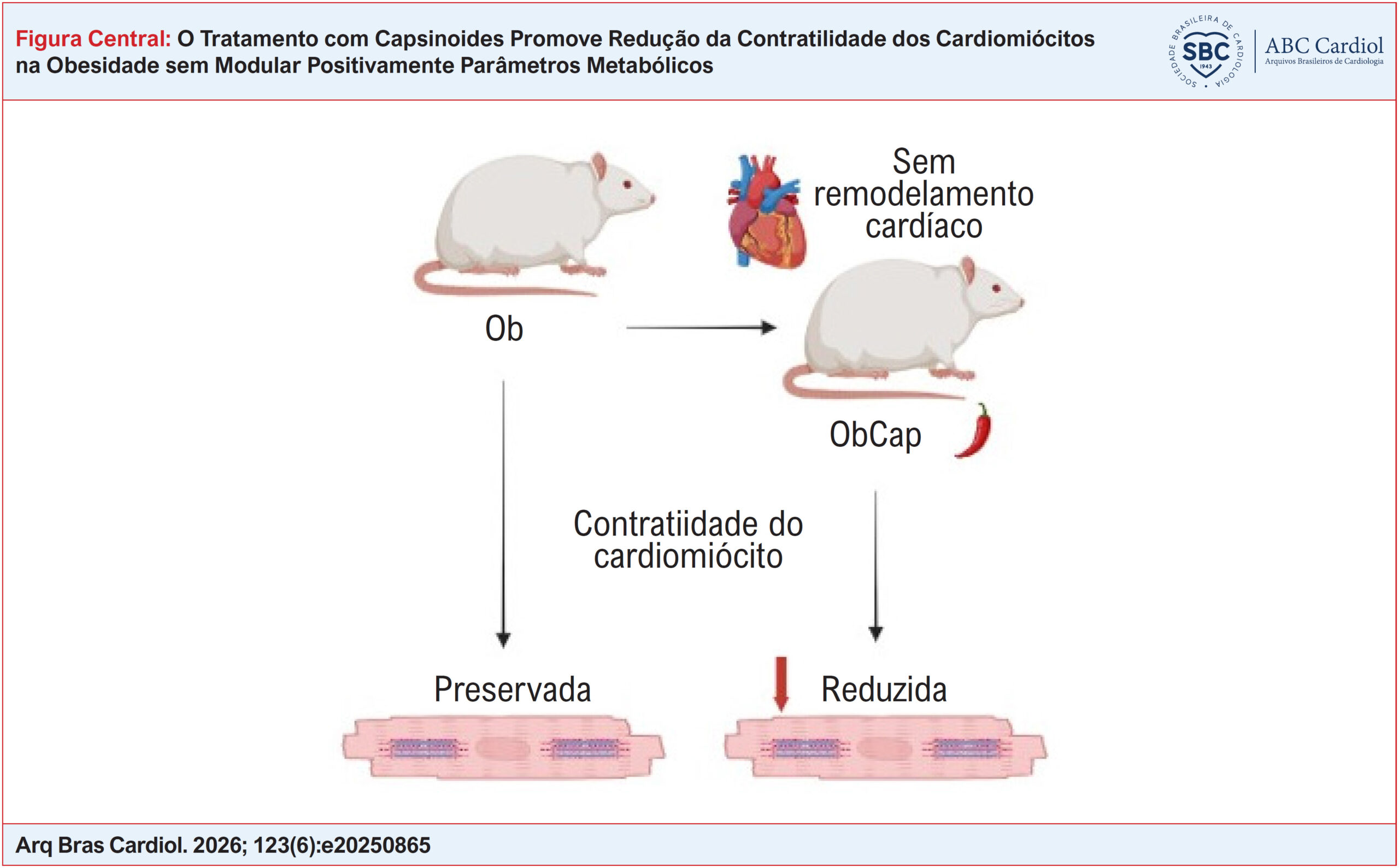 O Tratamento com Capsinoides Promove Redução da Contratilidade dos Cardiomiócitos na Obesidade sem Modular Positivamente Parâmetros Metabólicos