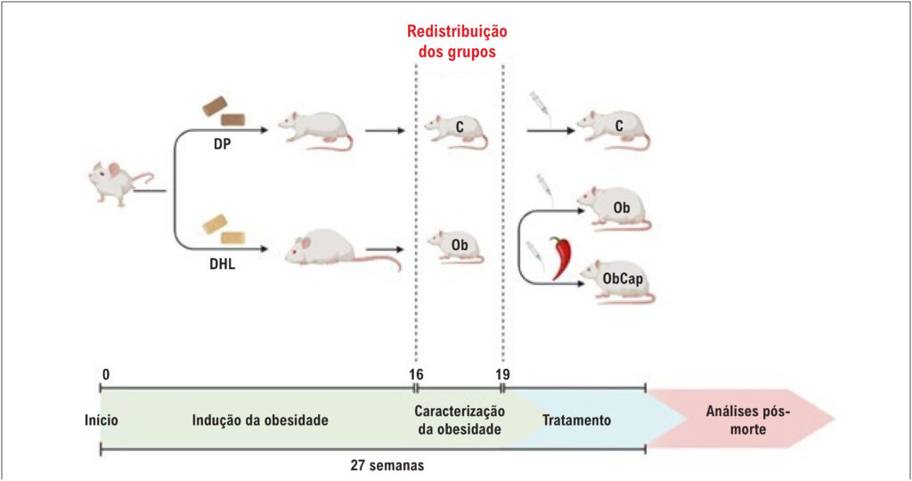 Figura 1