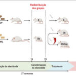 Figura 1