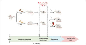 Figura 1