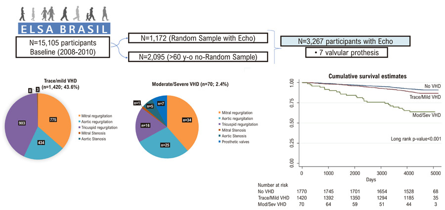 Epidemiology and Mortality of Valvular Heart Disease in Brazilian Adults: Findings from the ELSA-Brasil Cohort