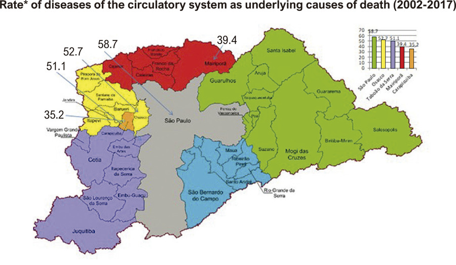 Spatial Distribution of Patients in the Metropolitan Area of São Paulo Attending a Public Tertiary Cardiovascular Referral Hospital According to Diseases of the Circulatory, Respiratory, Endocrine, and Neoplastic Systems