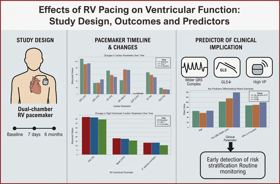 Effects of Pacemakers on Ventricular Functions and Early Variables Associated with Induced Cardiomyopathy
