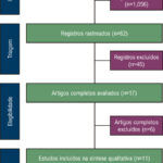 Figura 1