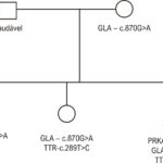 Figura 3