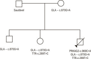 Figura 3