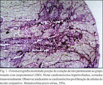 Enalaprilato na prevenção da hipertrofia ventricular esquerda induzida pelo isoproterenol