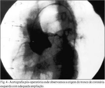 Imagem 4 da galeria