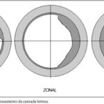 Imagem 1 da galeria