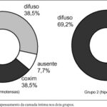 Imagem 2 da galeria
