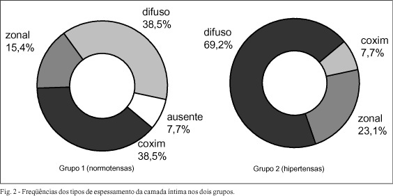 Imagem 2 da galeria