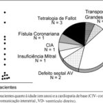 Imagem 1 da galeria