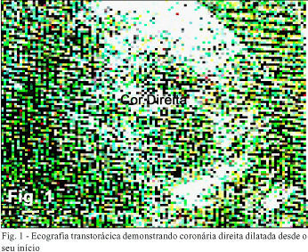 Imagem 1 da galeria