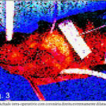 Imagem 3 da galeria