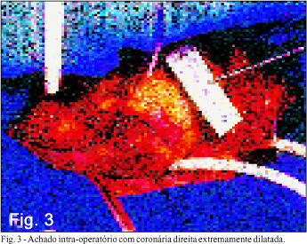 Imagem 3 da galeria