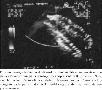 Imagem 6 da galeria
