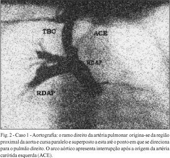 Imagem 2 da galeria