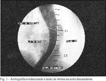 Imagem 1 da galeria