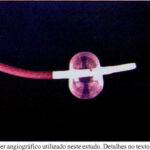 Imagem 1 da galeria