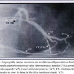 Imagem 5 da galeria