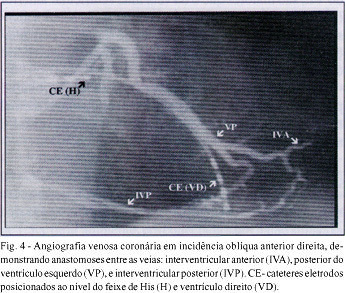 Imagem 5 da galeria