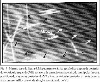 Imagem 6 da galeria