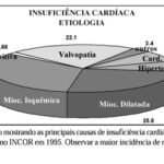Imagem 1 da galeria