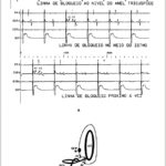 Imagem 7 da galeria